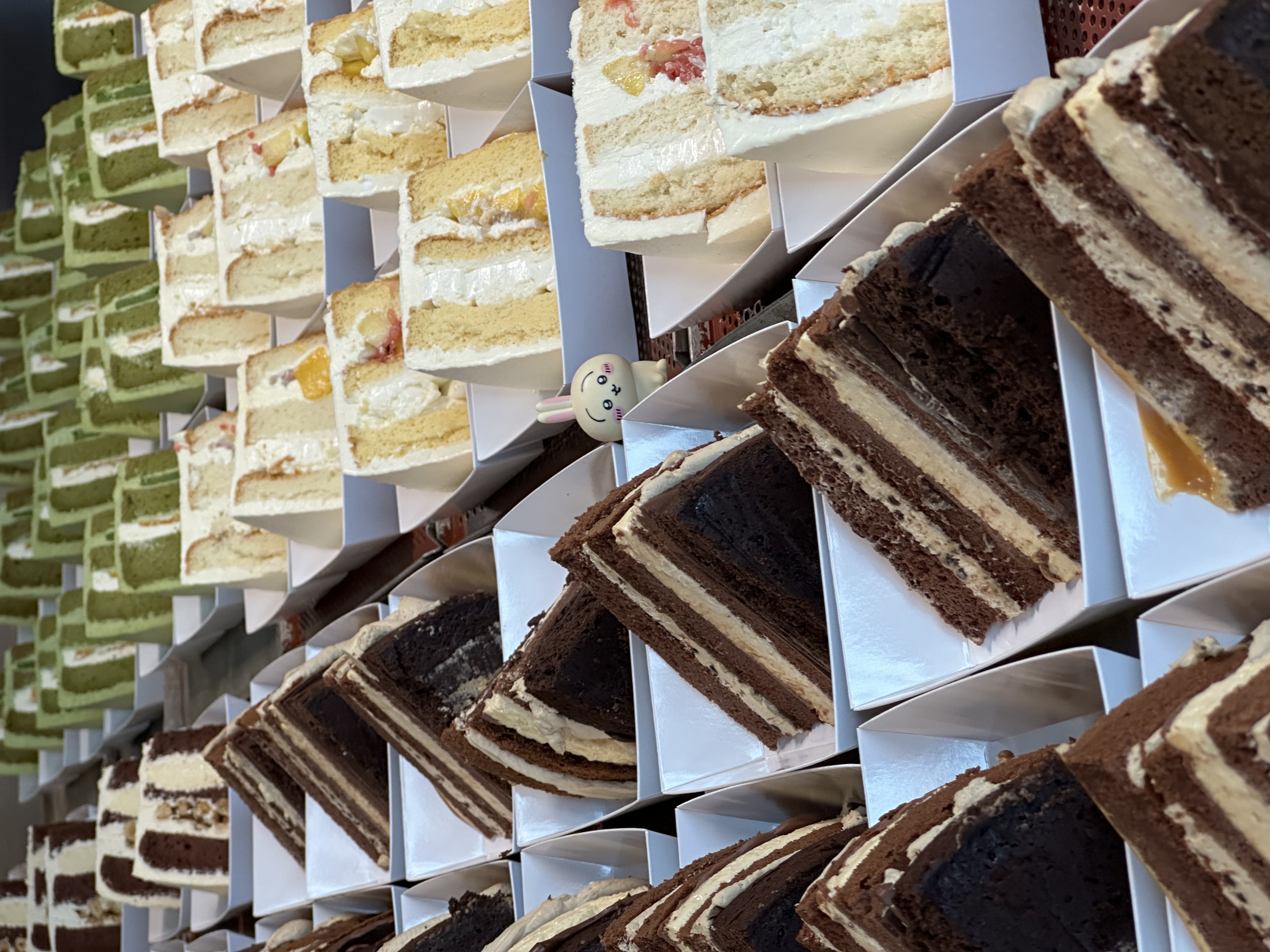 Cake slice cross-sections arranged in boxes
